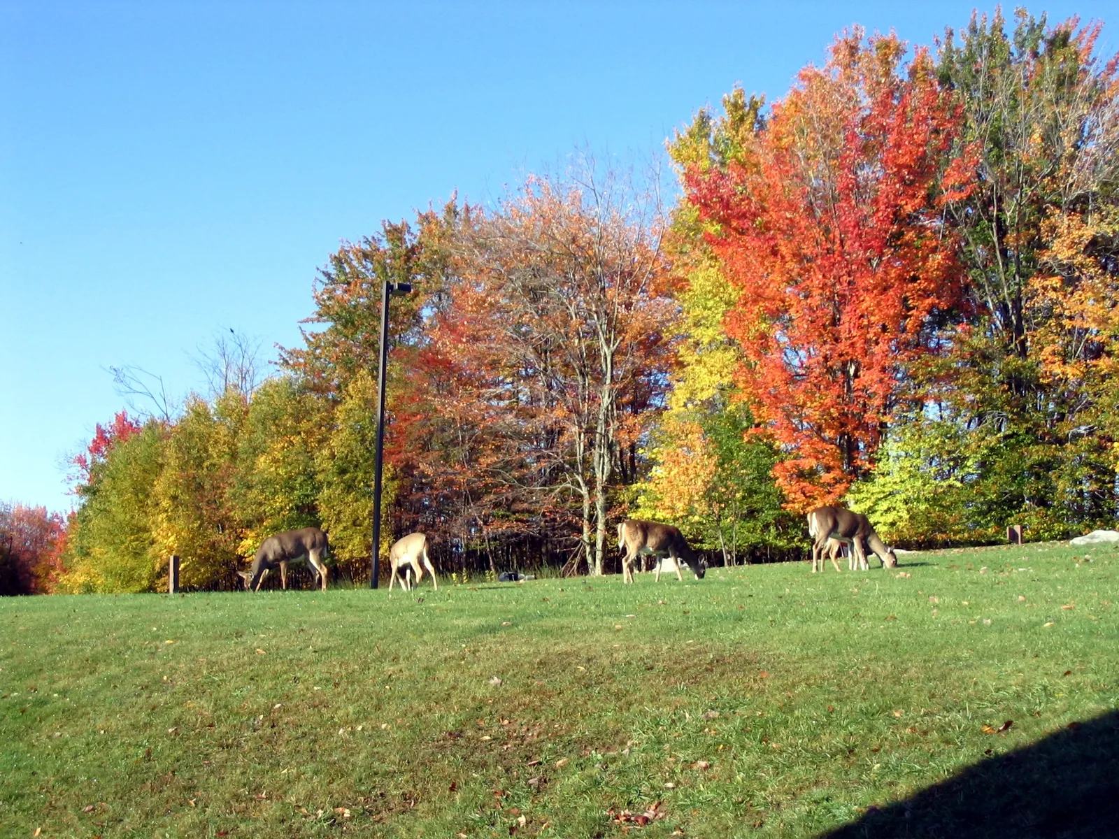 Canaan Valley