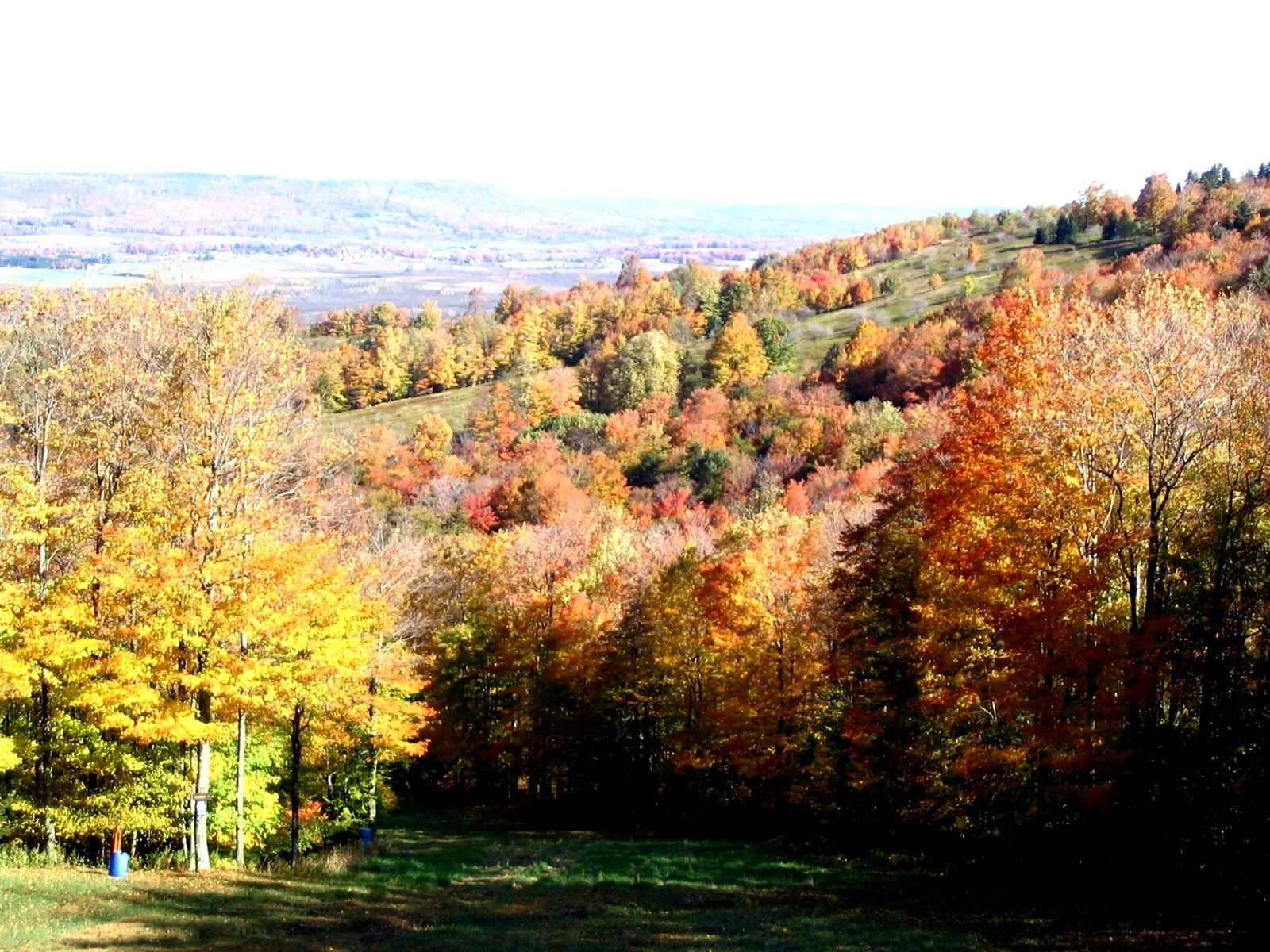Canaan Valley