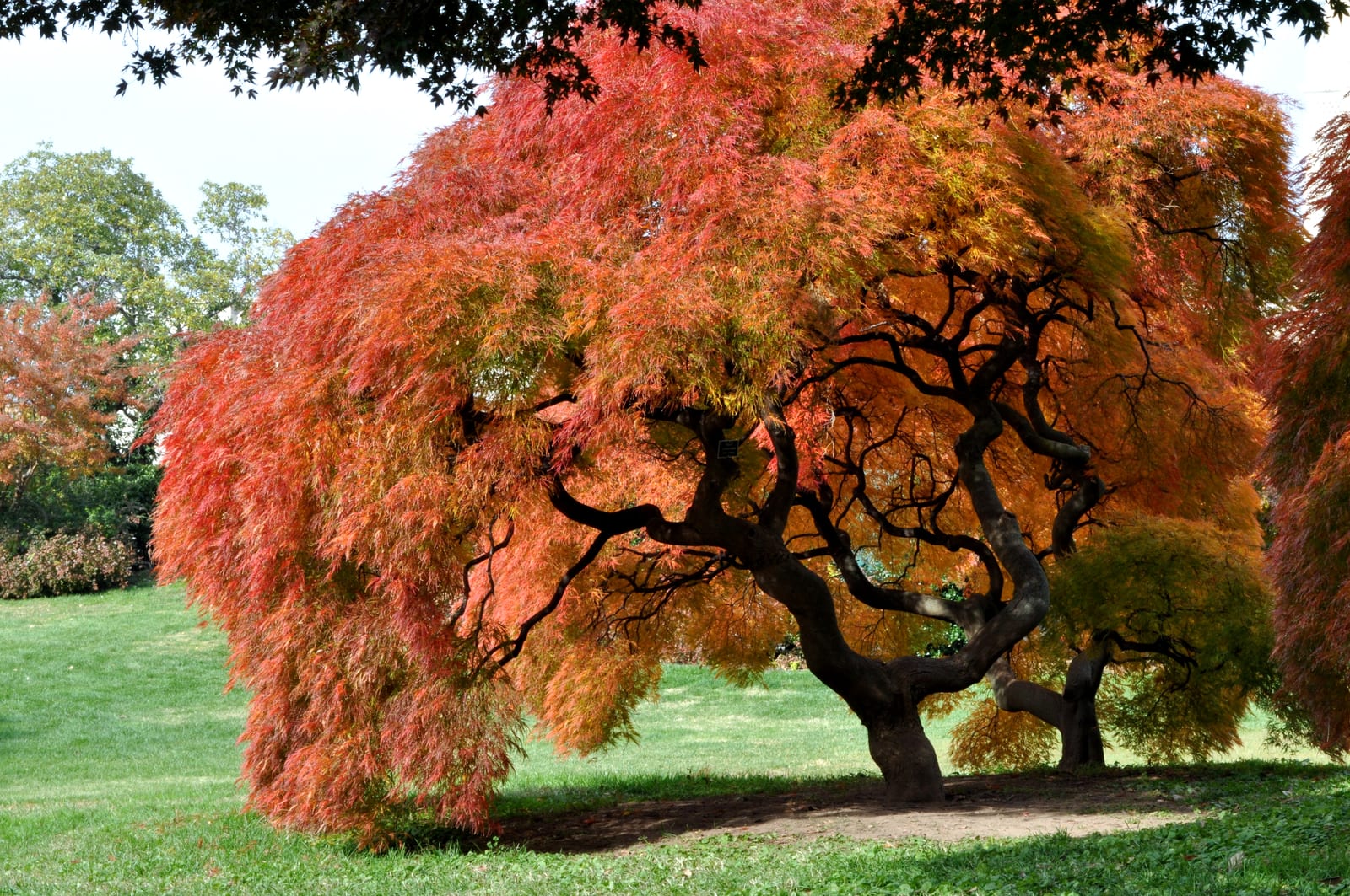 It’s Fall, y’all!