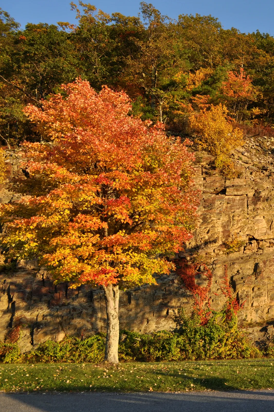 Shenandoah weekend