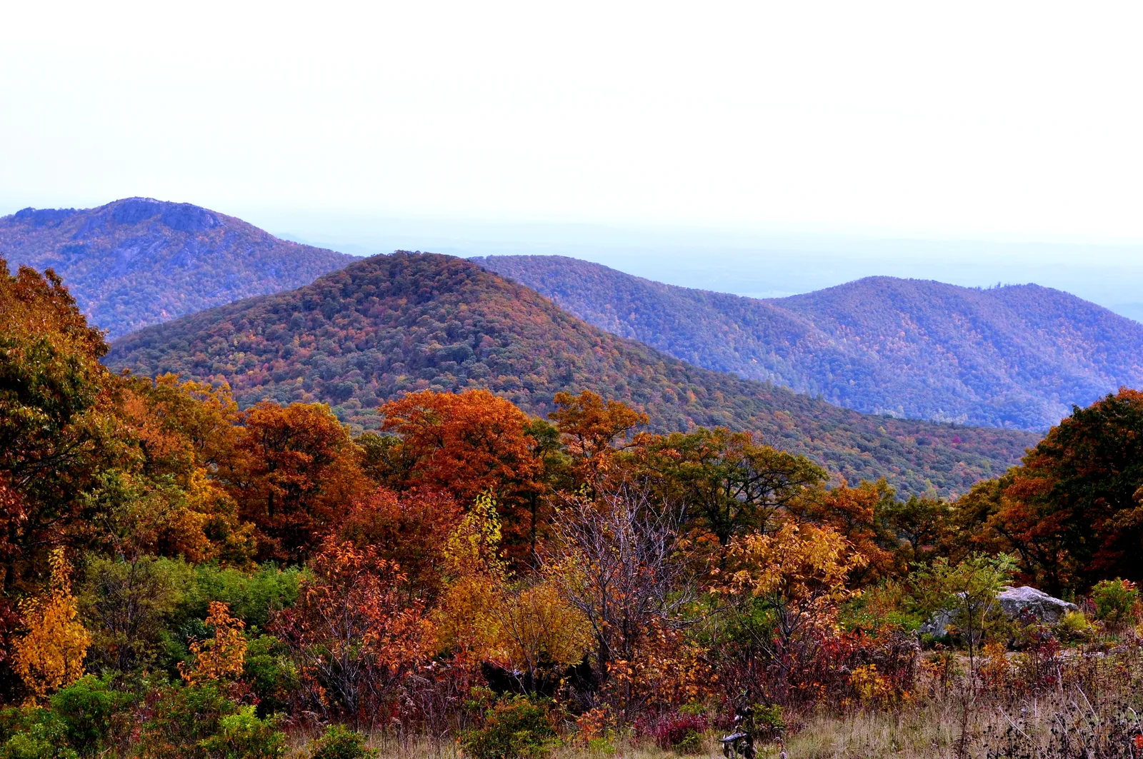 Shenandoah weekend