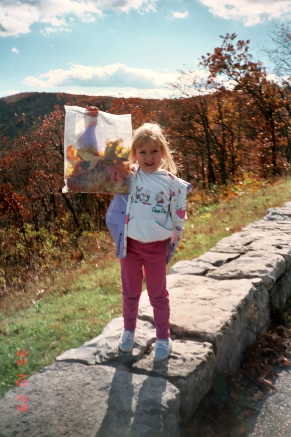 Skyline Drive