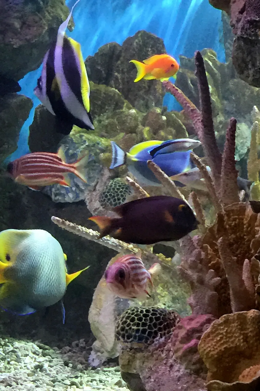 New England Aquarium