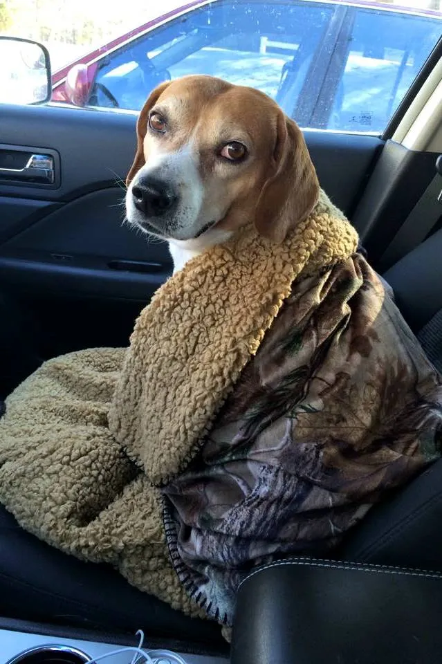 Cuddly warm Rusty!